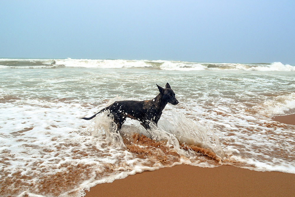 Beach Or Life: Photo Series By Indian Photographer Soumyabrata Roy